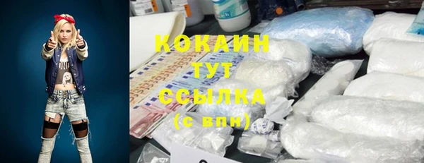 винт Осинники