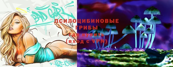 2c-b Осташков