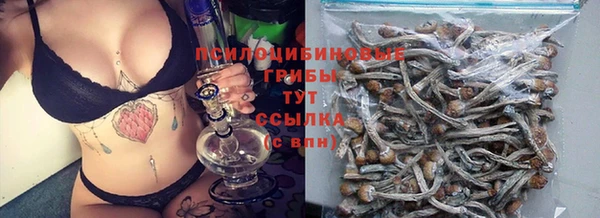 a pvp Белая Холуница